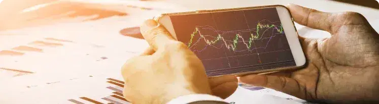 Digital Ecosystems 
Accelerators