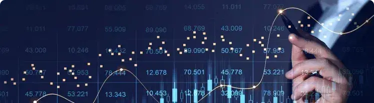 Digital Ecosystems 
Accelerators