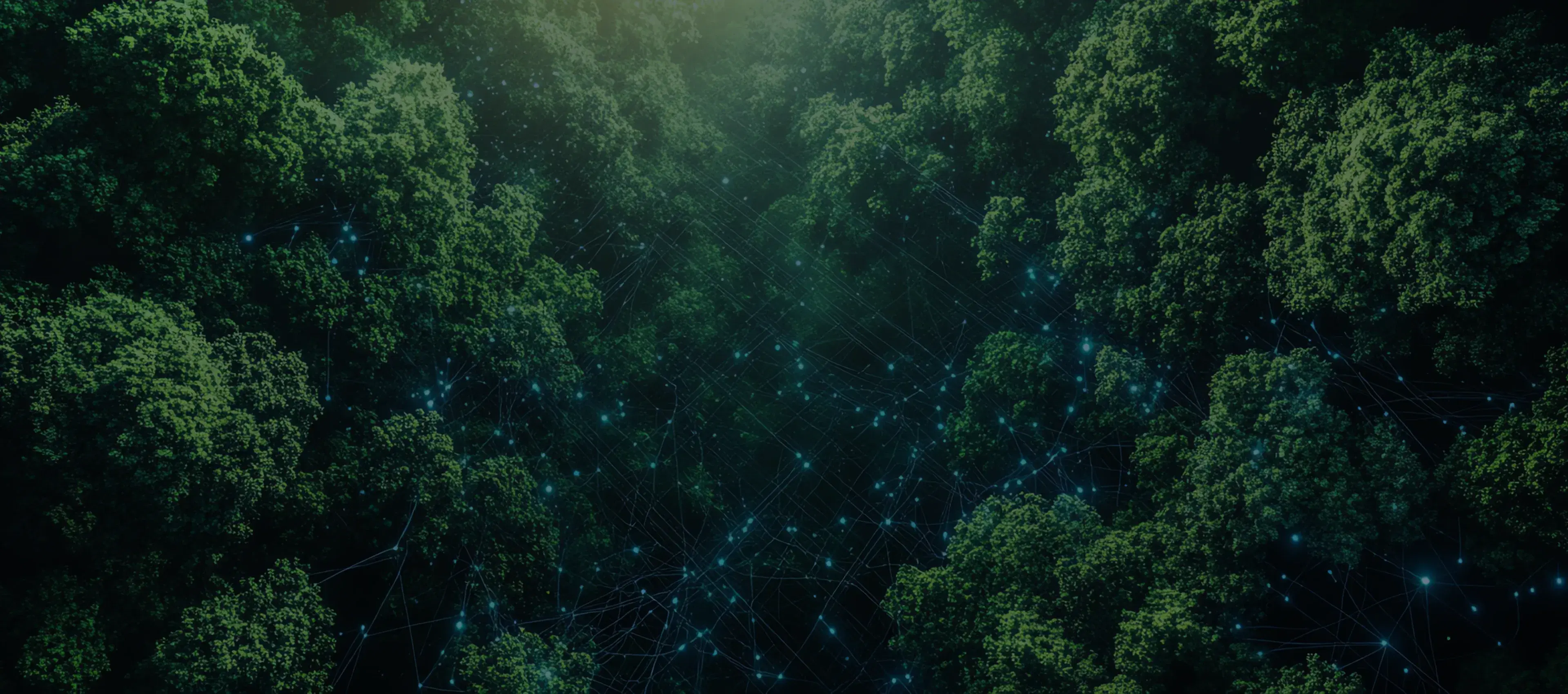 Large-Scale Digital Transformation with Salesforce Energy and Utilities Cloud for Greenfield Energy Provider