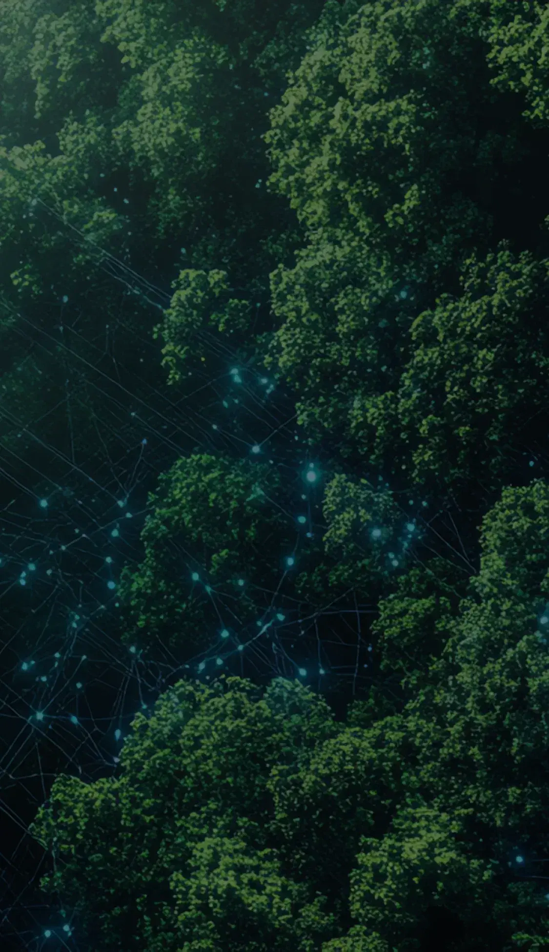 Salesforce E&U Cloud Transformation for Greenfield Energy Provider