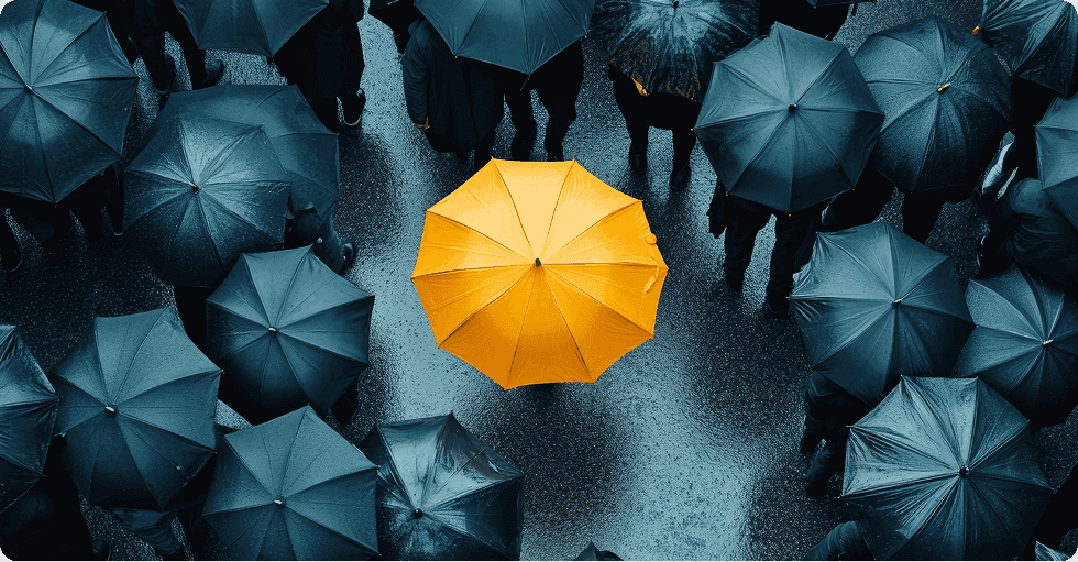 Real Insurance Transformations