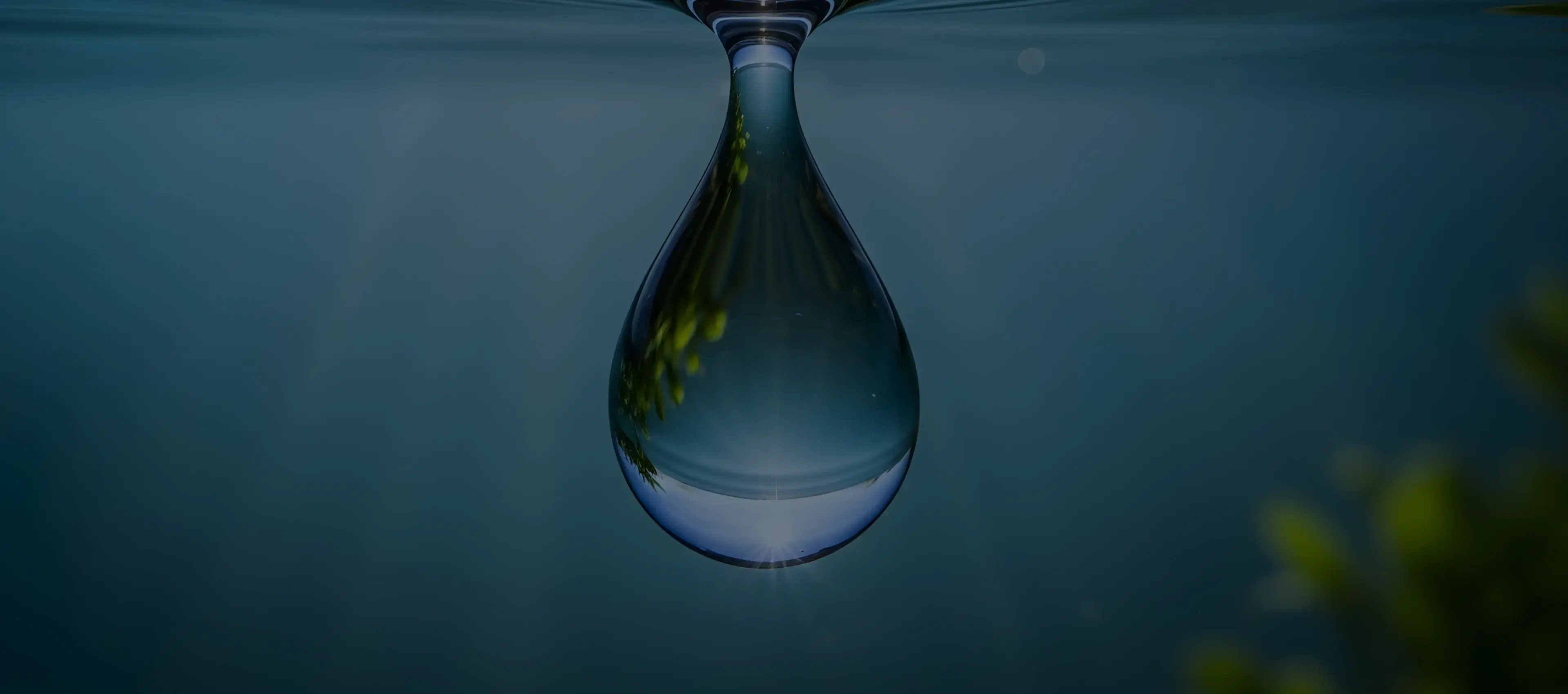 South Australian Water:
**Supplier Demand**
**Prediction**