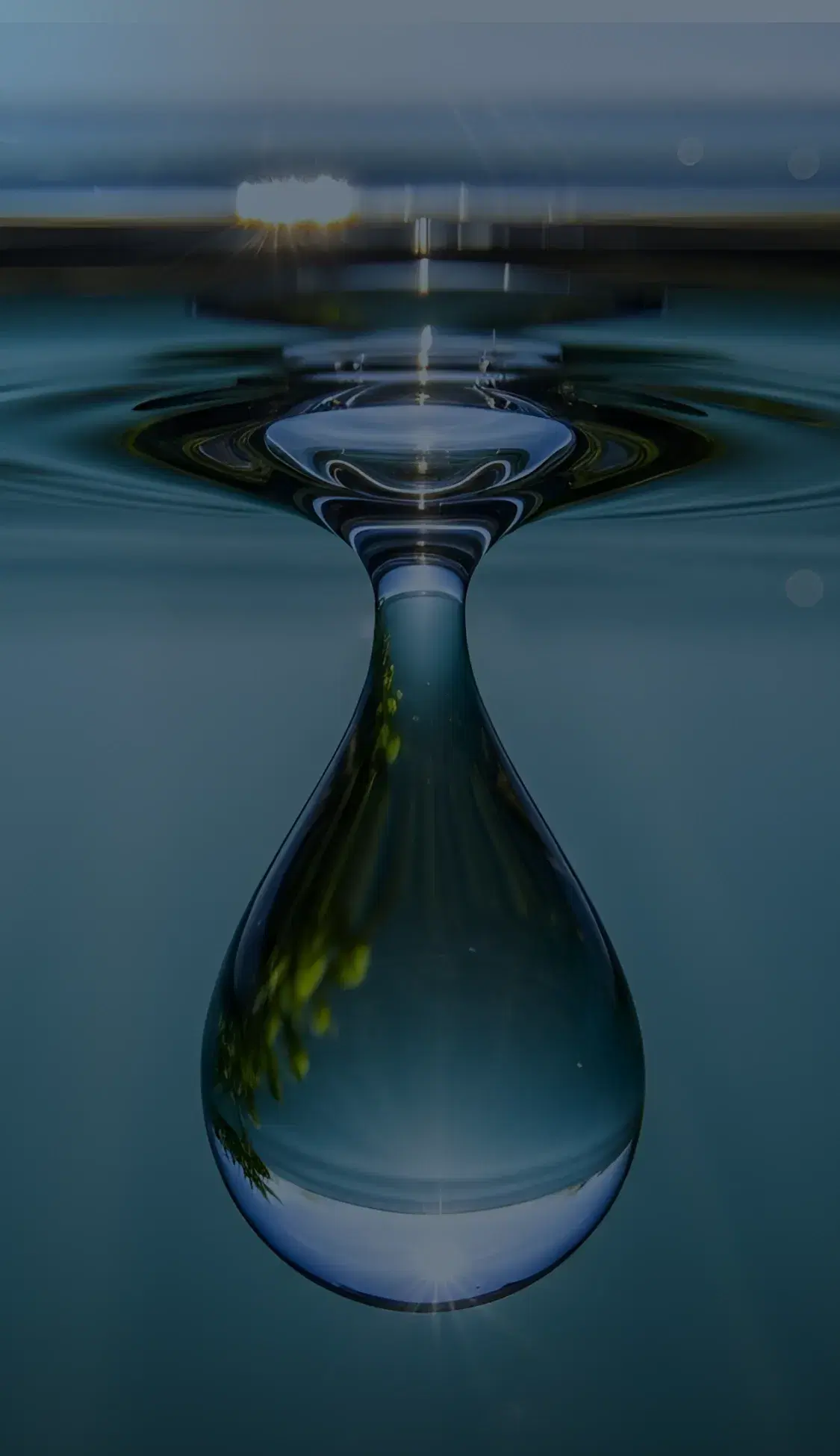 South Australian Water:
**Supplier Demand**
**Prediction**