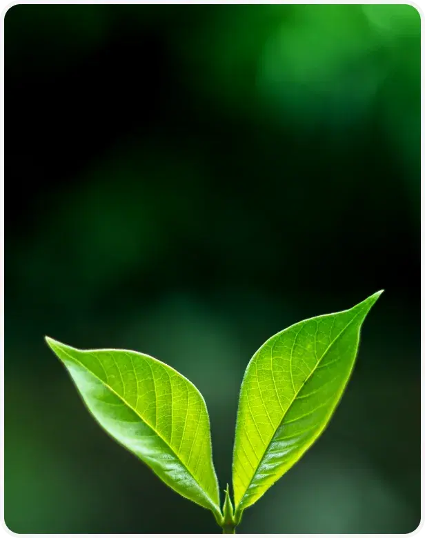 card-ecovadis.webp