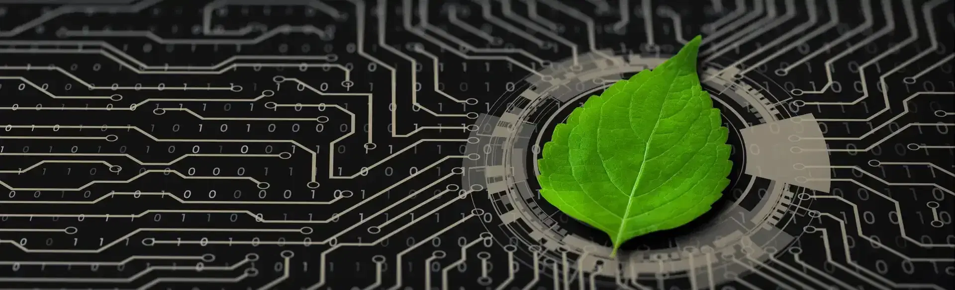 Synechron joins green RWA_Banner .webp