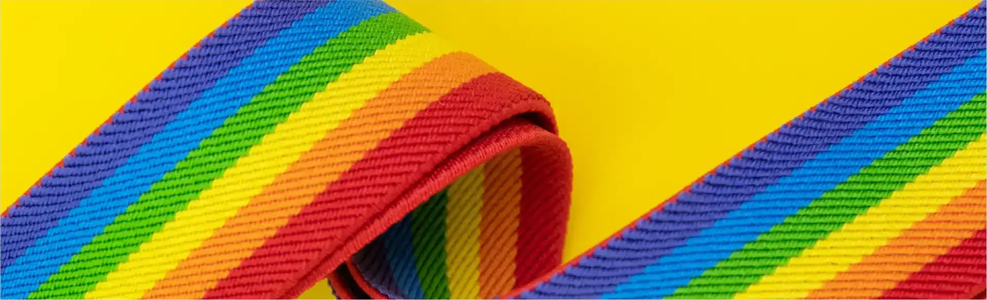 banner-synechron-and-campus-pride-partner .webp