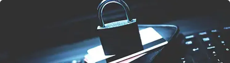 Black Swan Fraud Prevention