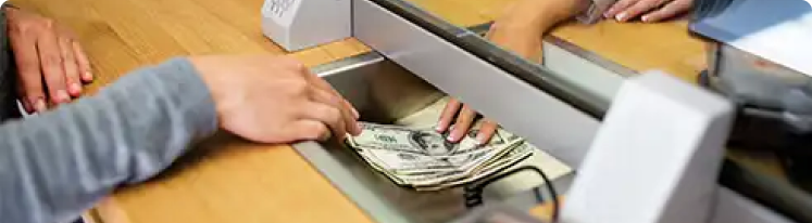 Liquify Treasurers Portal